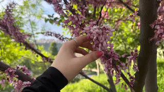 В Рязанской области снова потеплело