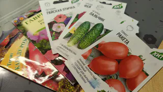 В Пензенской области Россельхознадзор выявил нарушения при продаже семян