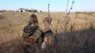 В лесу Вязниковского района пропал 71-летний пожилой человек
