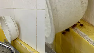 Приятного аппетита: в школе №73 засняли тараканов