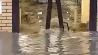 Июньский дождь: ливень затопил магазин в Рязани