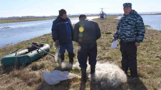 В Нижнекамске стартовала операция «Нерест»
