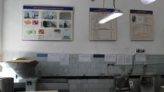 В столовой женской колонии в Судогодском районе были выявлены нарушения санитарии