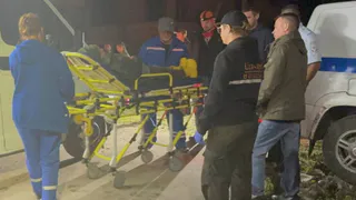 В лесу Судогодского района нашли пропавшую женщину спустя семь дней поисков