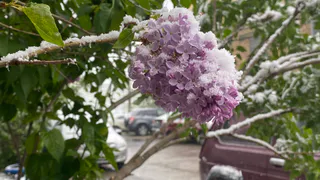 Весной ударят аномальные морозы намного сильнее зимних. Синоптики обновили прогноз на март и апрель