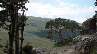 Поехали в Адыгею без машины — и увидели больше, чем ожидали: маршрут, который удивил