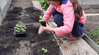 Владимирские юннаты стали призерами Всероссийского экологического форума