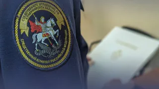 Глава СК РФ назначил проверку скандального дела об опеке во Владимирской области