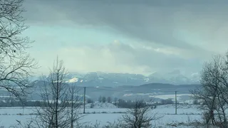 7-8 февраля природа устроит сюрприз: почему на юге России будет весна, а центральной части — мороз

