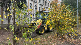 12 октября в Рязанской области ожидается порывистый ветер и до +15