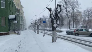 «Этой зимой начнется то, чего не было с 1772 года». Синоптики предупредили, к чему стоит готовиться