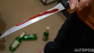 Нетрезвая мать напала на сына с ножом в Коми: суд вынес приговор