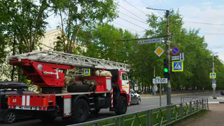 В Рязанской области сгорели заброшенный дом и грузовик