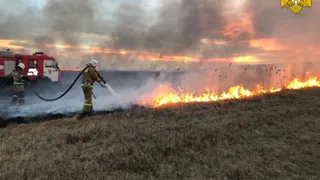 Пожар на поле в Севском районе