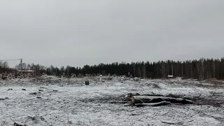 В Судогодском районе возбуждено дело о незаконной вырубке леса на сумму более миллиона рублей