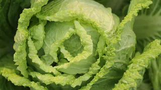 Как избавиться от горечи белокочанной капусты: простой способ