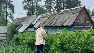 Делаю прибор из пробки от бутылки для посева морковки за 1 минуту: прореживание всходов не требуется - сэкономит вам уйму времени