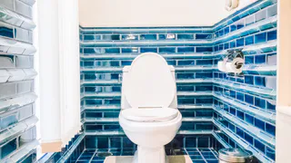 5 ложек свежести: горничные раскрыли секреты, что нужно засыпать на ночь в унитаз, чтобы утром он засверкал как новый