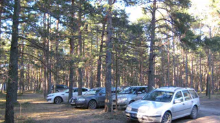 Эксперты назвали самые опасные места для парковки авто на отдыхе