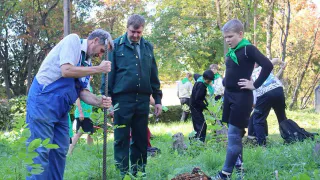 В рамках региональной акции «Сохраним лес» высадят 3 500 сеянцев сосны