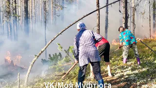 Жители Коми спасли свою деревню от лесного пожара