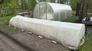 Аномальные заморозки нагрянут и погубят весь урожай: метеоролог Вильфанд предупредил россиян о неожиданной погоде