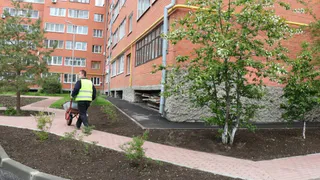 Асфальт, парковка, детская площадка: в Рязани благоустроят 14 дворов