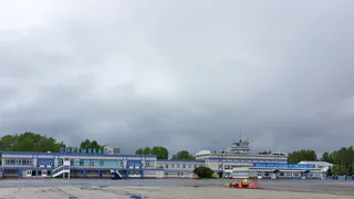 Сыктывкарка попыталась вывезти в Турцию 20 кг свежезамороженной семги