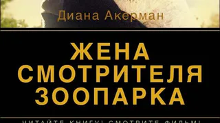 Книга, которую стоит прочитать