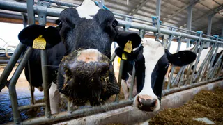 В Брянской области для реализации заявлены очередные инвестиционные проекты