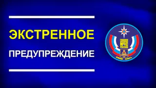 МЧС России Брянской области предупреждает о мошенниках, сообщающих об эвакуации по телефону.