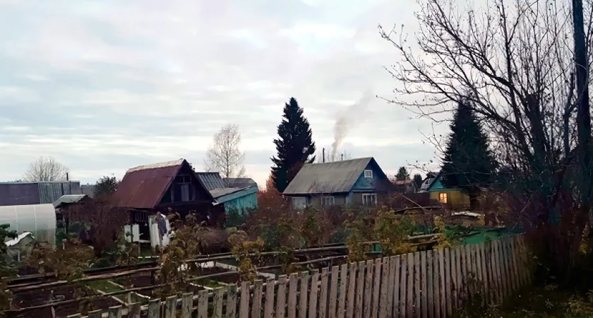 Полный запрет: новое правило для всех, у кого есть дача и огород в 2024 году