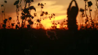 Прогноз от синоптиков – в воскресенье потеплеет до +21