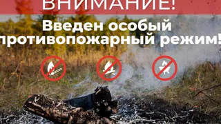 Во Владимирской области введён особый противопожарный режим