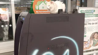 В Татарстане 40-летний инвалид гвоздодером пытался взломать банкомат