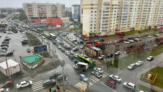 "Зимы больше не будет, даже не надейтесь": Вильфанд рассказал, какими будет февраль