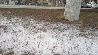 В Рязани сохранится отрицательная температура ночью