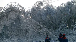 Снегопады и ледяные дожди: синоптики обещают, что февраль может быть непредсказуемым