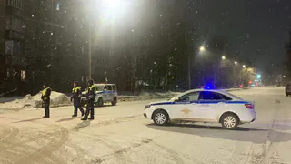 Полиция нашла в Сыктывкаре шестерых нелегалов