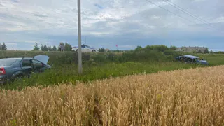 Под Рязанью пьяный водитель Renault устроил ДТП, пострадали ребёнок и 19-летняя девушка