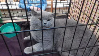 Куда сводить детей на осенних каникулах?