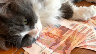 Придет сразу 2 пенсии - вот кому ожидать чуда в декабре. Проверьте себя в списке