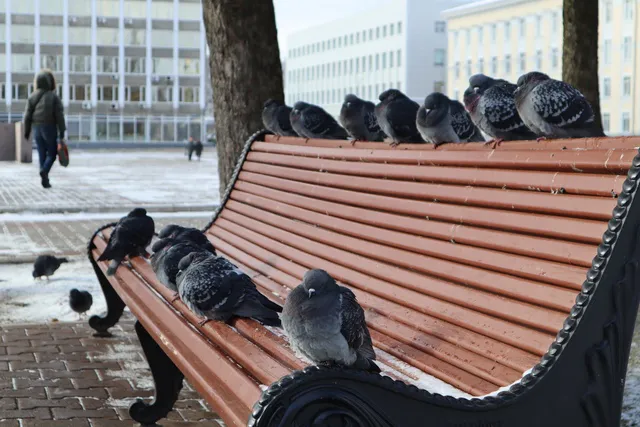 Жителей Челябинской области ждёт сильное похолодание