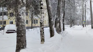 «Это будет мощнее мороза»: синоптики огорошили страну — нас ждут новые аномалии