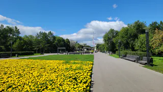 Челябинскую область ожидает аномально теплый день с порывистым ветром