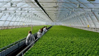 В Нижнекамске планируется открыть ЭкоАгроПарк