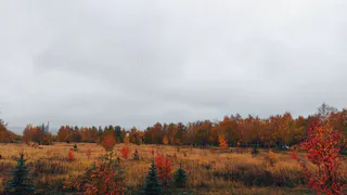 25 сентября в Нижнекамске будет дождливо и прохладно