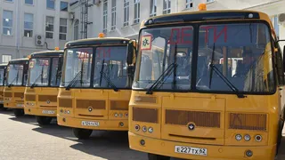 В Рязанской области закупят 50 новых автобусов для школ к концу 2024 года