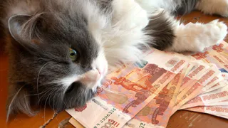 Как назначают пенсию по старости в 2026 году - названы точные условия. Вот что нужно