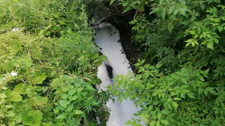 Белая вода: на улице Военных Автомобилистов загрязнили ручей